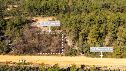 0.22 Acres Land For Sale In Interlachen