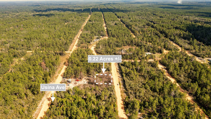 0.22 Acres Land For Sale In Interlachen