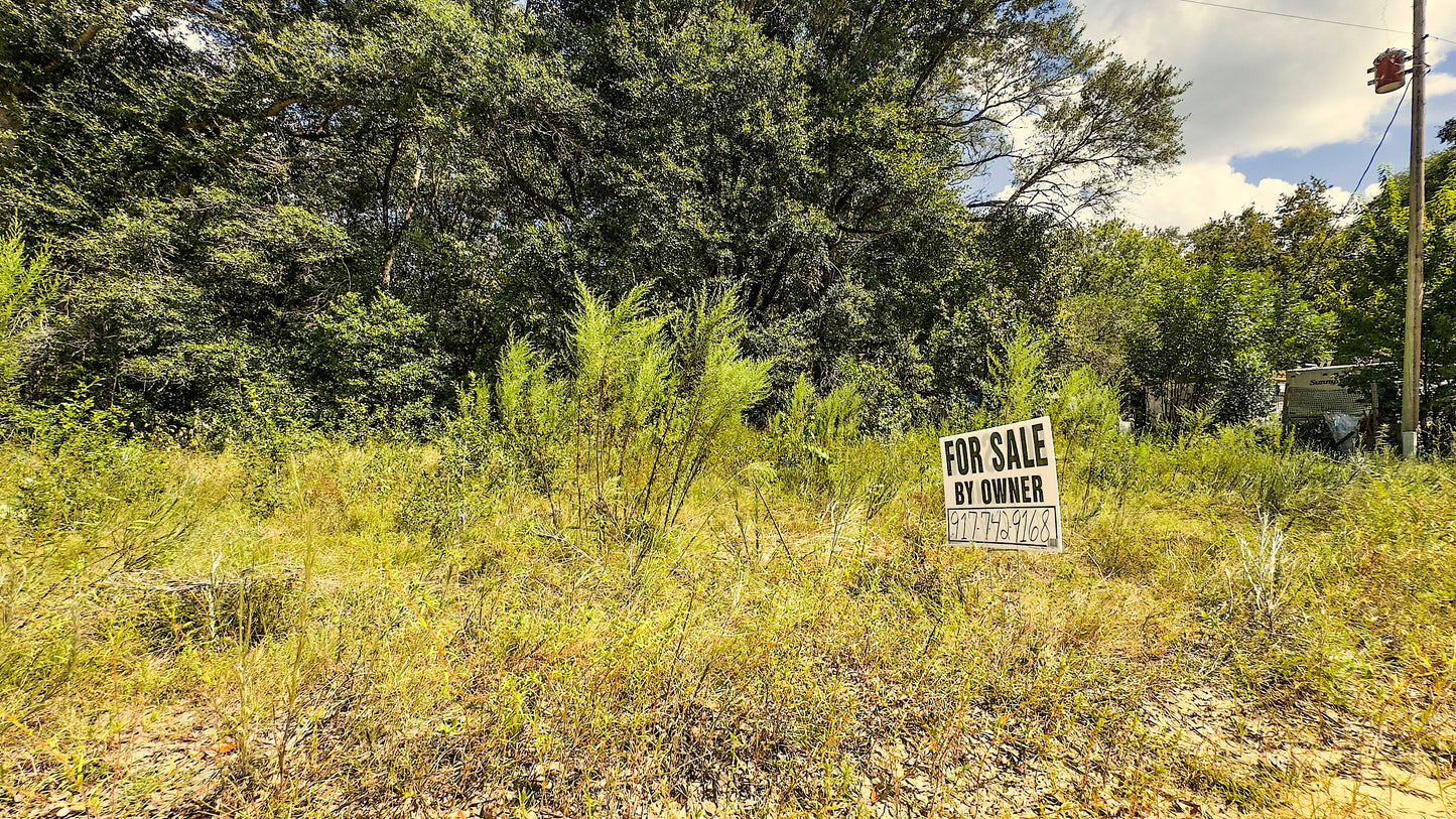 0.22 Acres Land (Near Paved Road) For Sale In Interlachen
