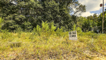 0.22 Acres Land (Near Paved Road) For Sale In Interlachen