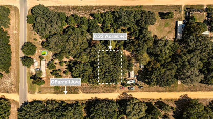 0.22 Acres Land (Near Paved Road) For Sale In Interlachen