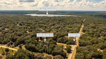 0.22 Acres Land (Near Paved Road) For Sale In Interlachen