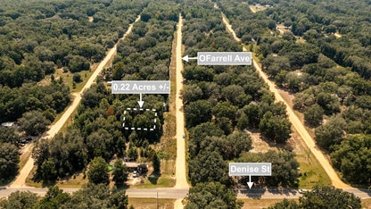 0.22 Acres Land (Near Paved Road) For Sale In Interlachen