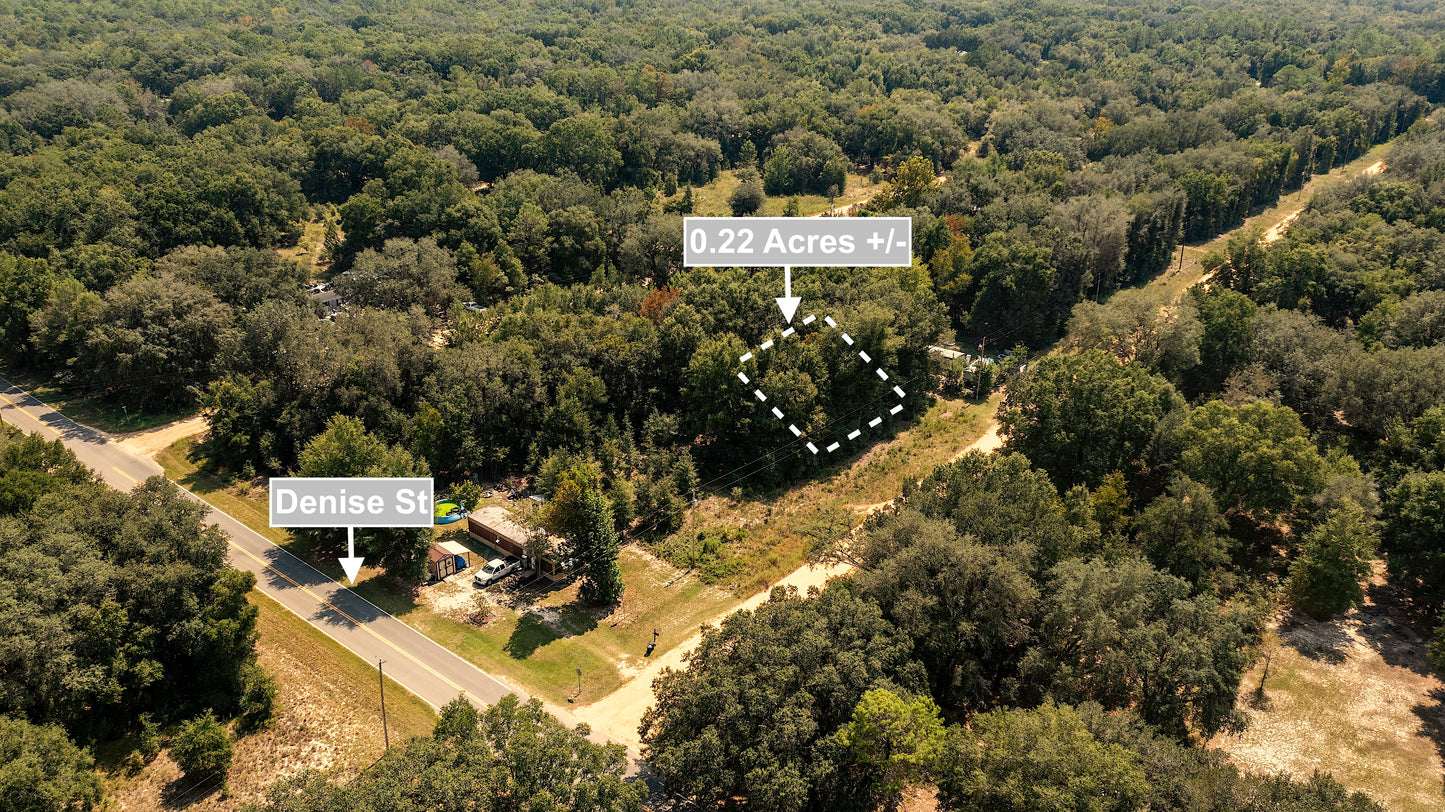 0.22 Acres Land (Near Paved Road) For Sale In Interlachen