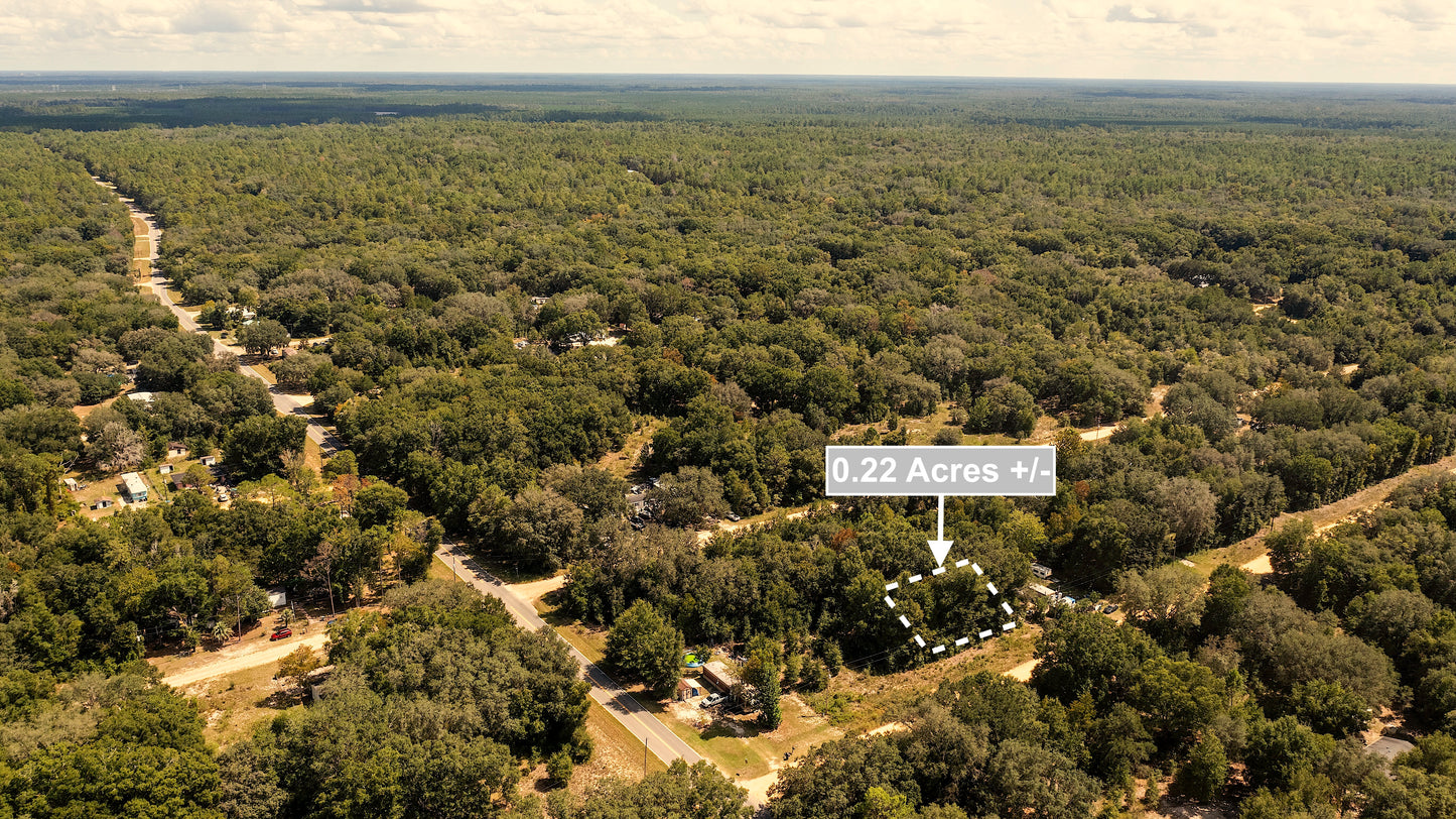0.22 Acres Land (Near Paved Road) For Sale In Interlachen