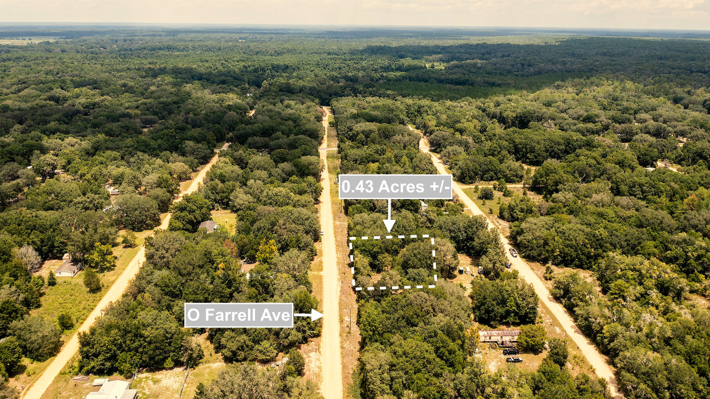 0.43 Acres Land For Sale In Interlachen