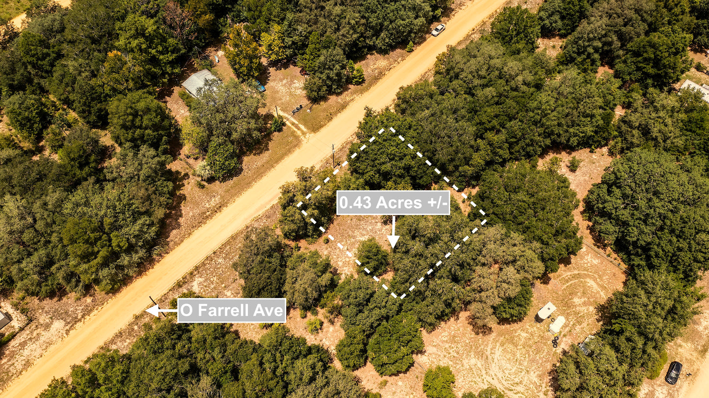 0.43 Acres Land For Sale In Interlachen