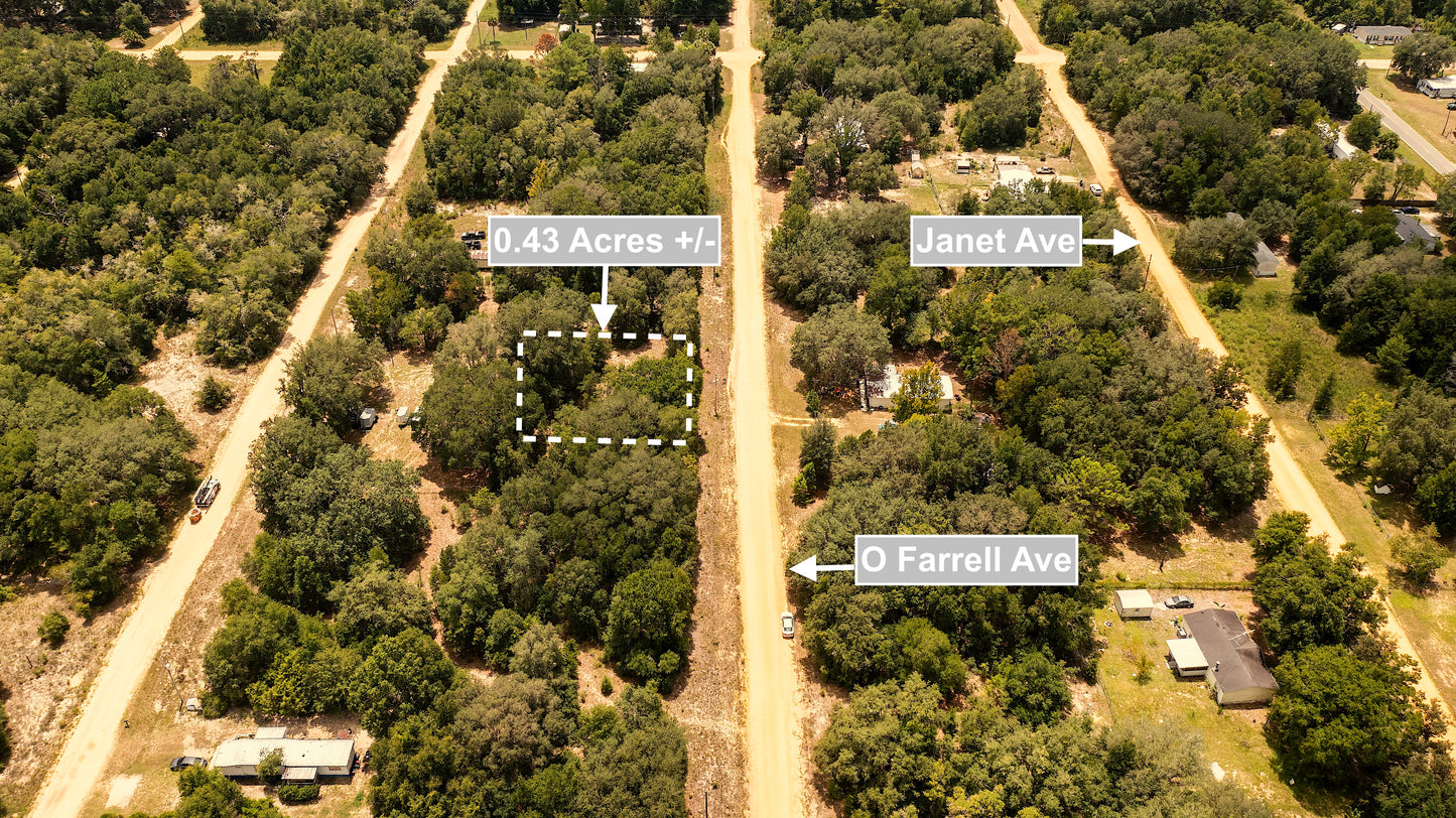0.43 Acres Land For Sale In Interlachen