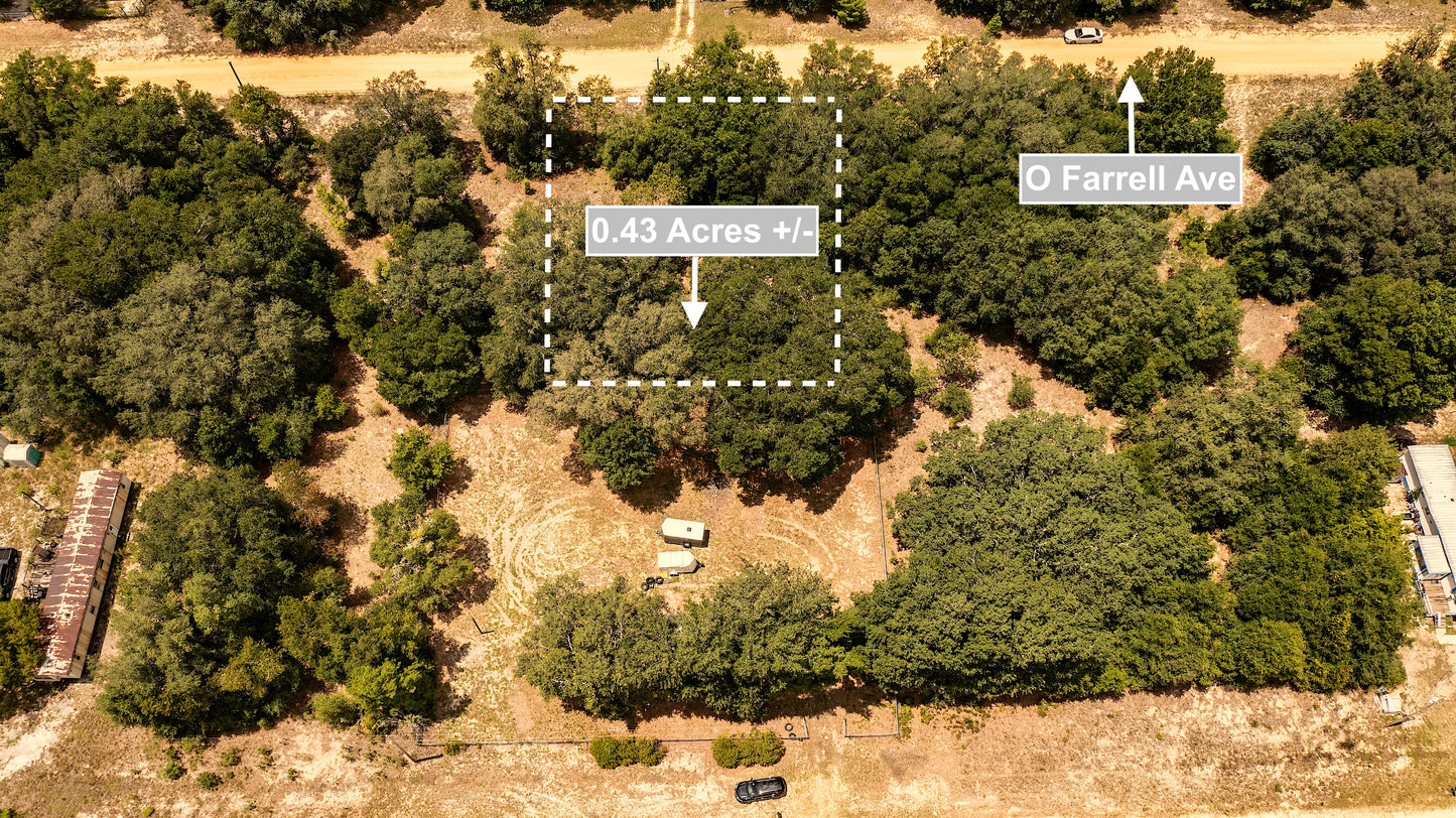 0.43 Acres Land For Sale In Interlachen