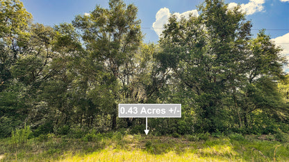 0.43 Acres Land For Sale In Interlachen