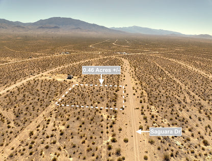0.46 Acres Land For Sale In Pahrump NV