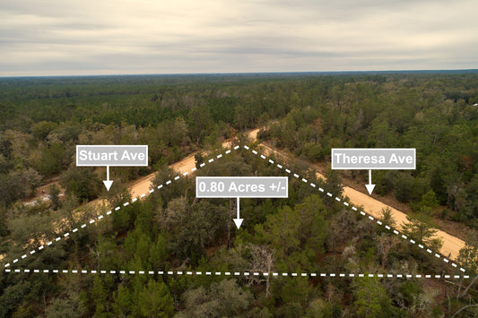 0.80 Acres Corner Lot In Interlachen