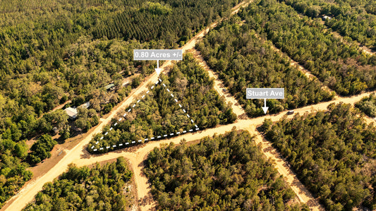 0.80 Acres Corner Lot In Interlachen