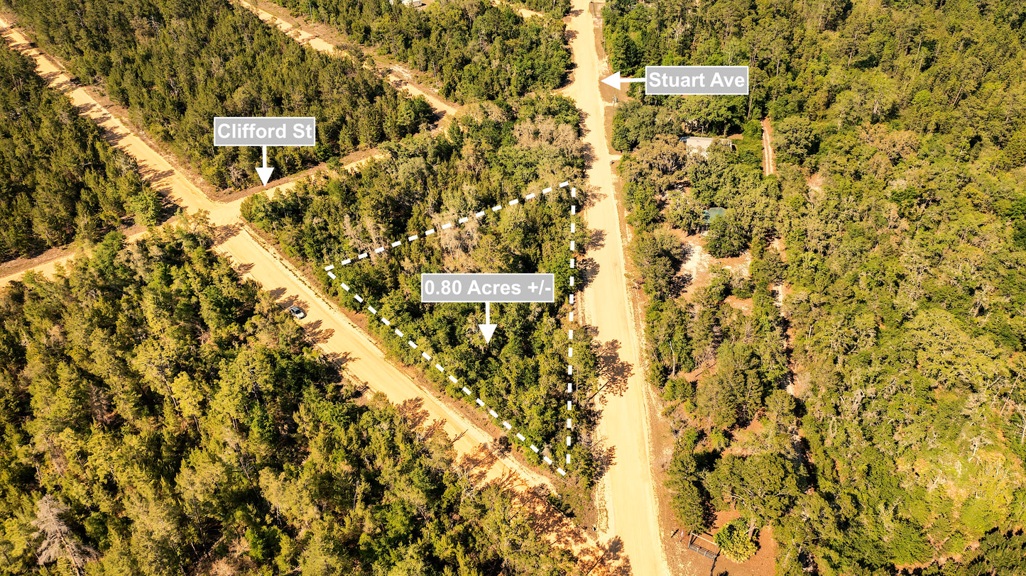 0.80 Acres Corner Lot In Interlachen