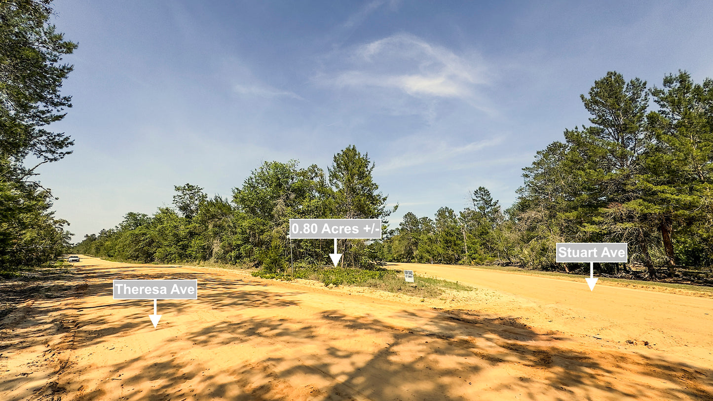 0.80 Acres Corner Lot In Interlachen