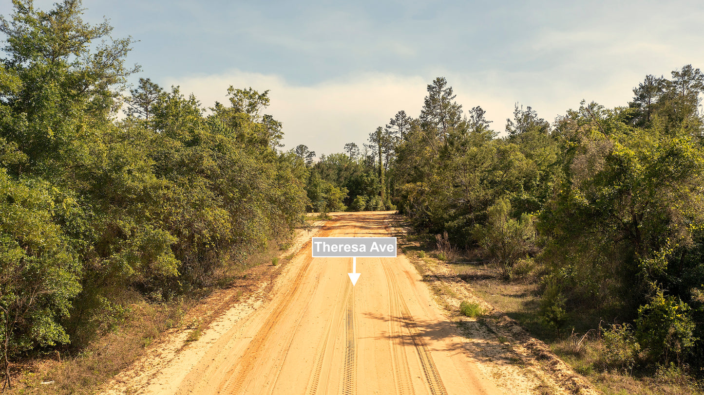 0.80 Acres Corner Lot In Interlachen