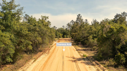 0.80 Acres Corner Lot In Interlachen