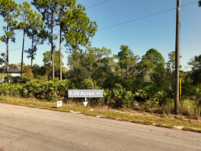 0.29 Acres Land For Sale In Alva