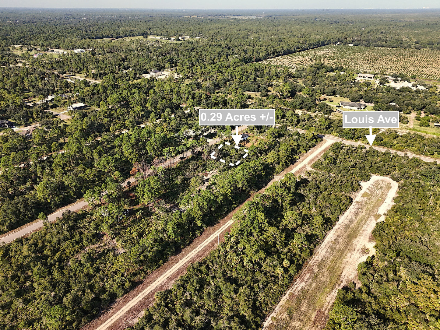 0.29 Acres Land For Sale In Alva