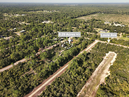 0.29 Acres Land For Sale In Alva