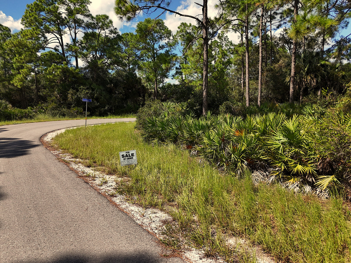 0.29 Acres Land For Sale In Alva