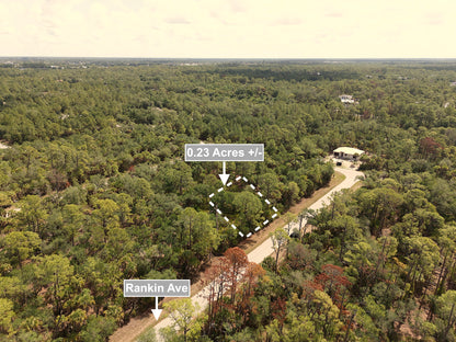 0.23 Acres Land For Sale In Port Charlotte