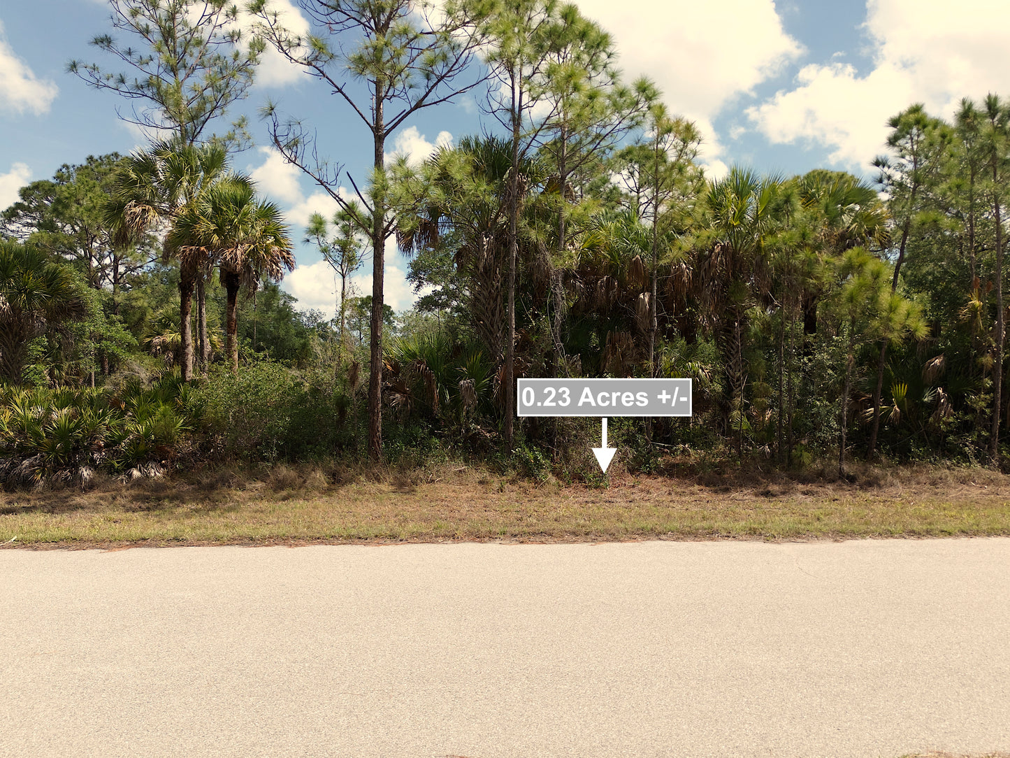 0.23 Acres Land For Sale In Port Charlotte