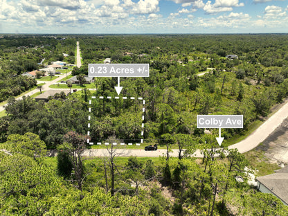 0.23 Acres Land For Sale In Port Charlotte FL