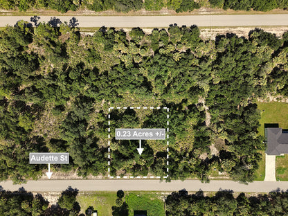 0.23 Acres Land For Sale In Port Charlotte