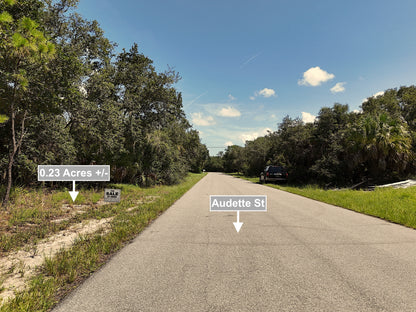 0.23 Acres Land For Sale In Port Charlotte