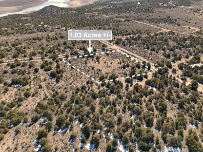 1.03 Acres Land In San Luis CO