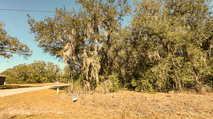 0.24 Acres Land Near Lake In Ocklawaha