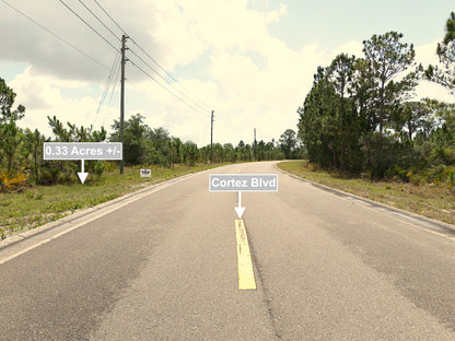 0.33 Acres Land For Sale In Sebring