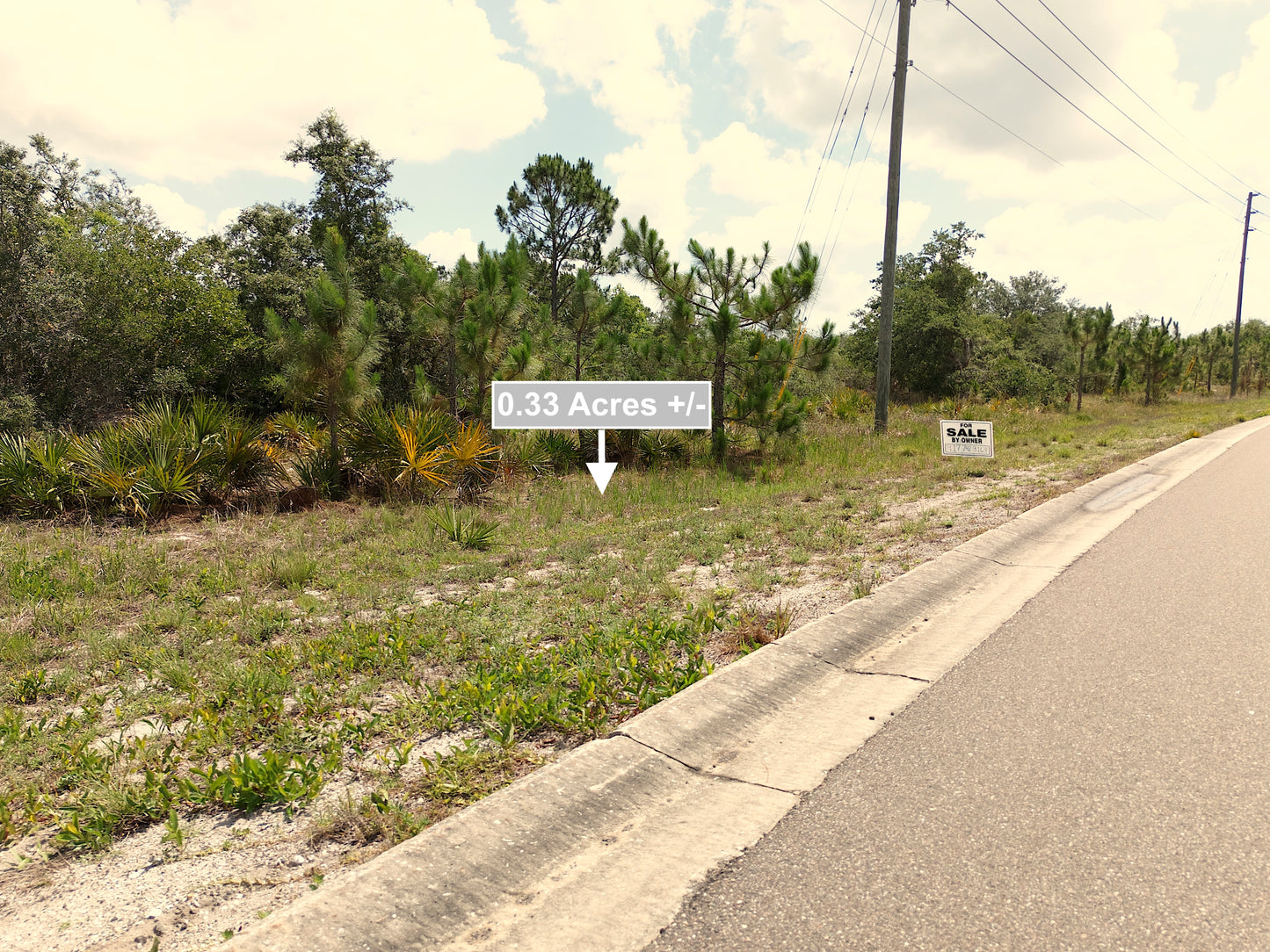 0.33 Acres Land For Sale In Sebring