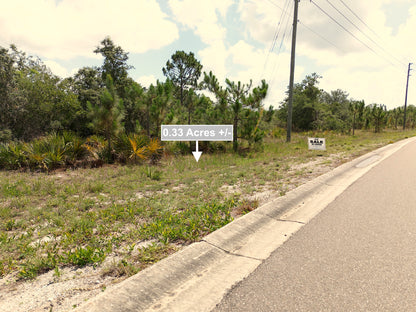 0.33 Acres Land For Sale In Sebring