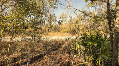 0.23 Acres Land In Live Oak