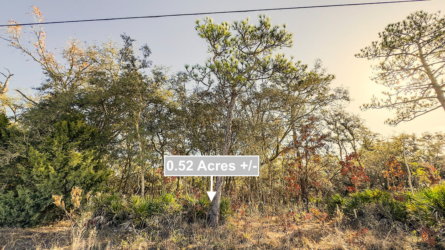 0.52 Acres Land For Sale In Brooksville