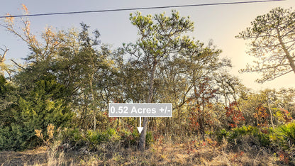 0.52 Acres Land For Sale In Brooksville