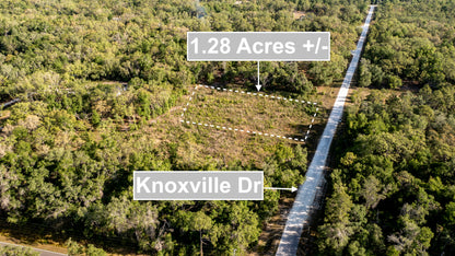 1.28 Acres of Land For Sale In Webster FL