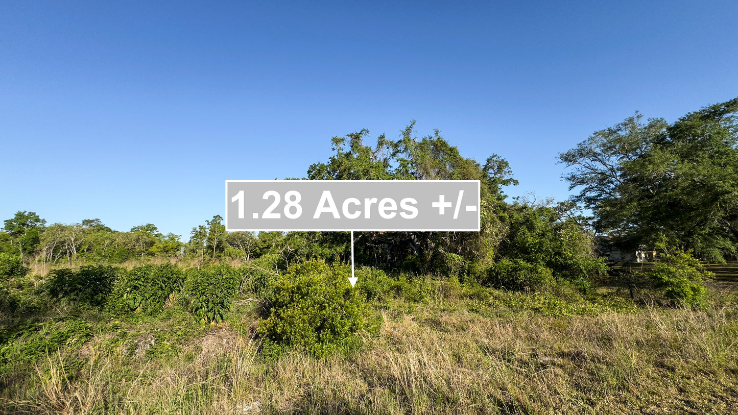 1.28 Acres of Land For Sale In Webster FL