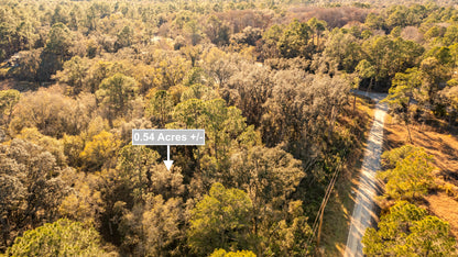 0.54 Acres Land In Webster