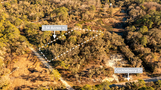 0.54 Acres Land In Webster