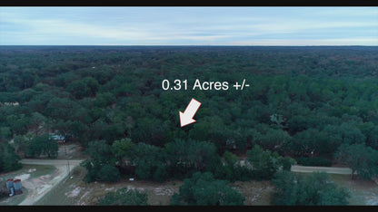 0.31 Acres Land In Florahome FL