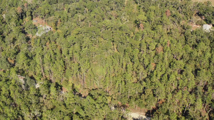 2 Acres Land For Sale Near Suwannee River In O Brien