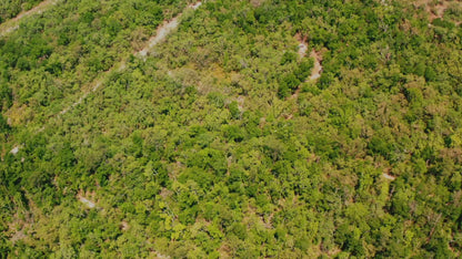 0.46 Acres Land For Sale In Live Oak