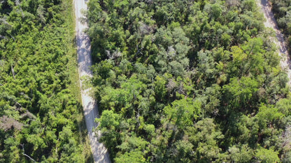 0.23 Acres Land For Sale Near Lake In Live Oak